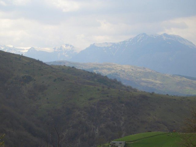 cesaproba aq 2009 8